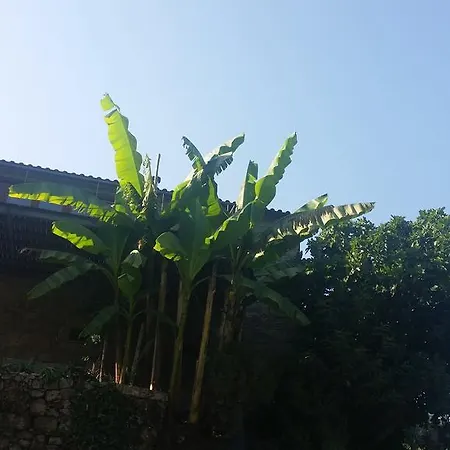 Hébergement de vacances Casa Rustica - *